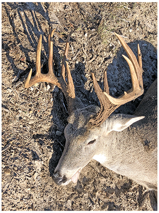 2022 Management photos